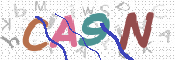 Image Anti-spam