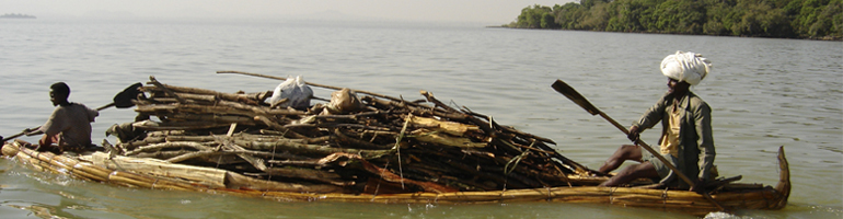 papyrus boat