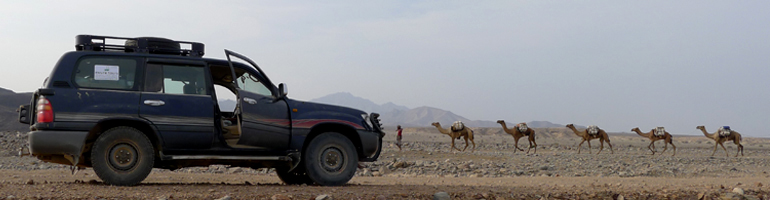 4x4 versus camels